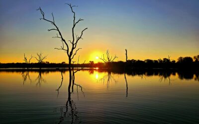 How Hunting Supports Conservation: The Role of Ethical Hunting in Zimbabwe