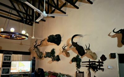 Dip and Pack Explained: The Taxidermy Process After Your African Safari
